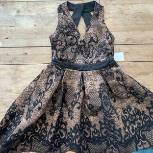 Endless Rose black and tan lace dress